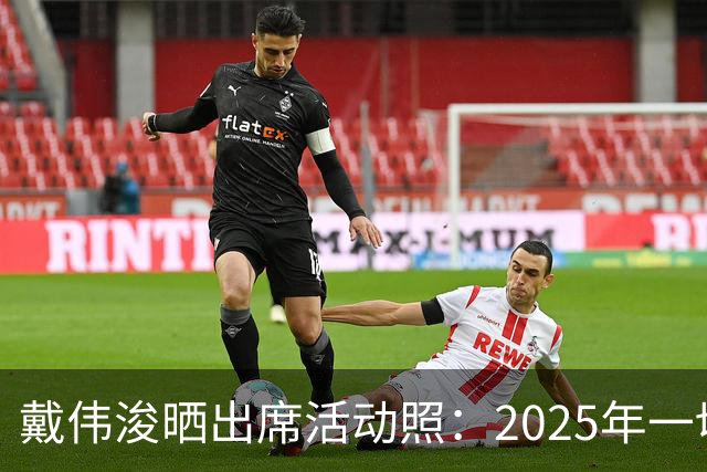 戴伟浚晒出席活动照：2025年一切顺利！